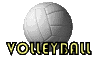 bolavolley1.gif (7366 bytes)